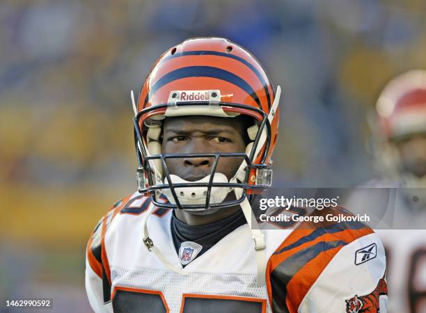 Wide receiver Chad Johnson of the Cincinnati Bengals looks on from the sideline during a game against the Pittsburgh Steelers at Heinz Field on...