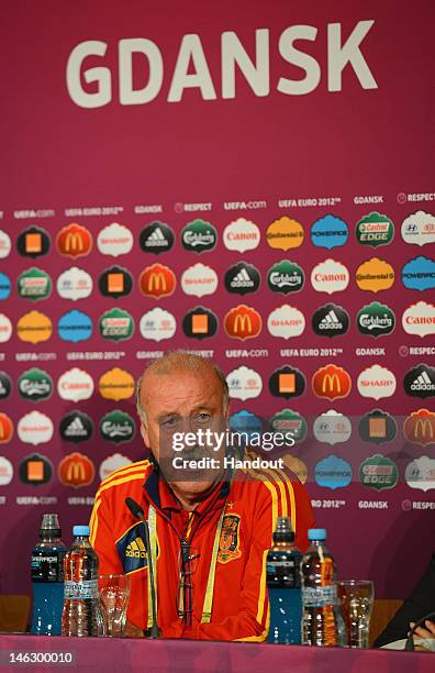 In this handout image provided by UEFA, Spain coach Vicente del Bosque talks to the media during a UEFA EURO 2012 press conference at the Municipal...