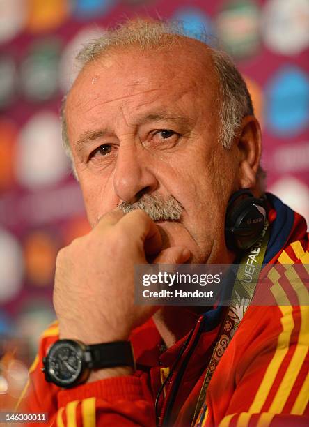 In this handout image provided by UEFA, Spain coach Vicente del Bosque talks to the media during a UEFA EURO 2012 press conference at the Municipal...