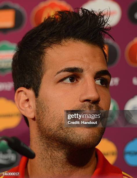 In this handout image provided by UEFA, Cesc Fabregas of Spain talks to the media during a UEFA EURO 2012 press conference at the Municipal Stadium...