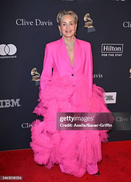 Sharon Stone attends the Pre-GRAMMY Gala & GRAMMY Salute to Industry Icons Honoring Julie Greenwald & Craig Kallman at The Beverly Hilton on February...