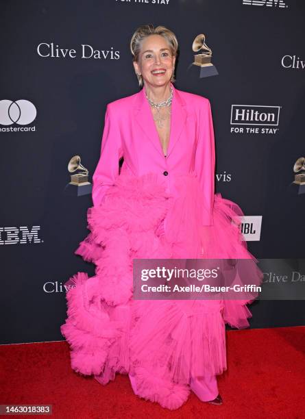 Sharon Stone attends the Pre-GRAMMY Gala & GRAMMY Salute to Industry Icons Honoring Julie Greenwald & Craig Kallman at The Beverly Hilton on February...