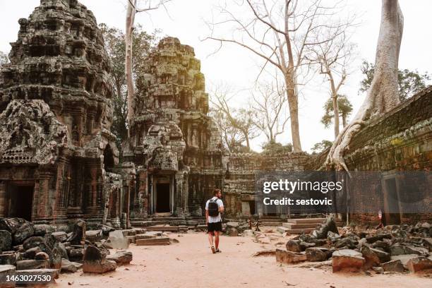 um homem explorando os templos no angkor wat, complexo ta prohm - templo ta prohm - fotografias e filmes do acervo