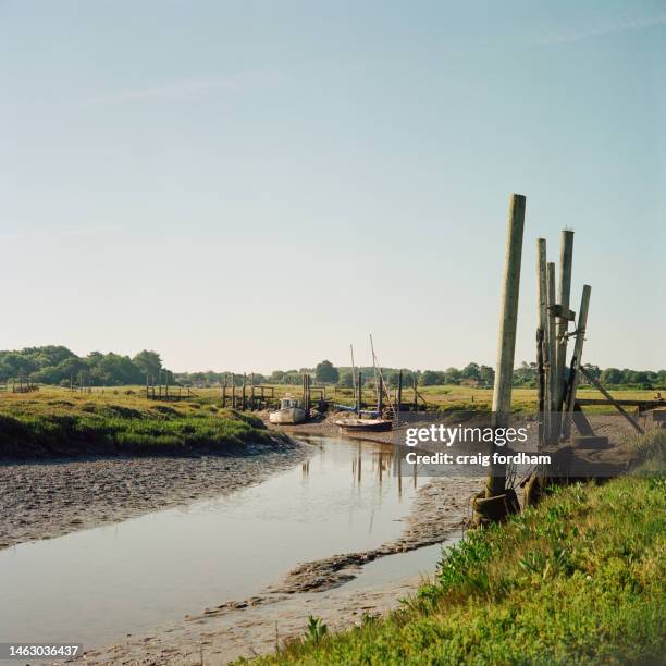 summer details - blakeney stock pictures, royalty-free photos & images