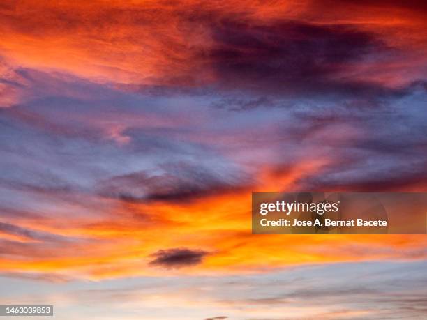 full frame of the low angle view of cirrus clouds in the sky at sunset. - grey clouds stock pictures, royalty-free photos & images