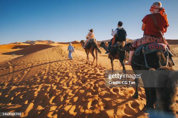 asiatische chinesische touristen reiten dromedar kamelzug durch die sahara wüste marokko geführt von reiseleiter hirten während des sonnenuntergangs - marokko stock-fotos und bilder