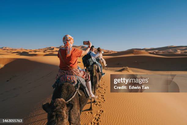 asian chinese tourists riding dromedary camel train crossing sahara desert morocco led by tour guide herdsman during sunset - erg chebbi dunes stock pictures, royalty-free photos & images