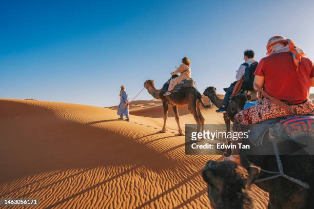 asian chinese tourists riding dromedary camel train crossing sahara desert morocco led by tour guide herdsman during sunset - guided stock pictures, royalty-free photos & images
