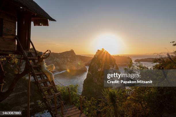 thousand island lookout is located on the east coast of nusa penida island. this lookout is one of the attractions on the island and looks along nusa penida's beautiful coastline. - treetop stock pictures, royalty-free photos & images