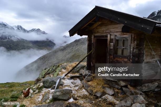 chicken in front of wooden hut in the tux alps | tyrol, austria - tux oostenrijk stockfoto's en -beelden