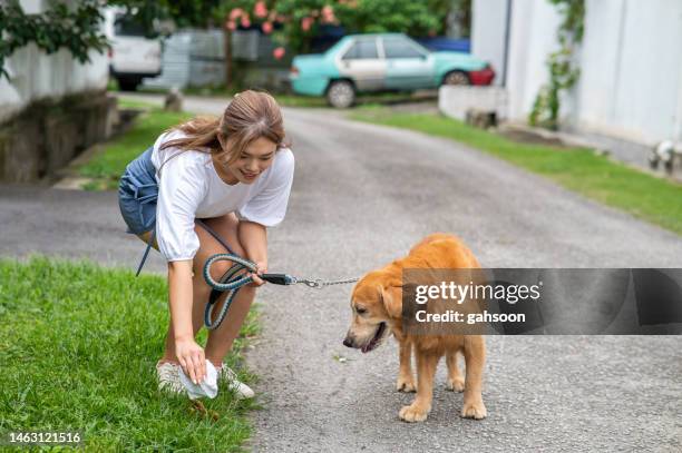 femme responsable qui nettoie le trottoir - crotte de chien photos et images de collection