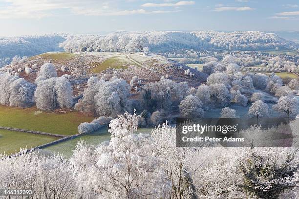 english winter landscape, gloucestershire, uk - gloucestershire stock-fotos und bilder