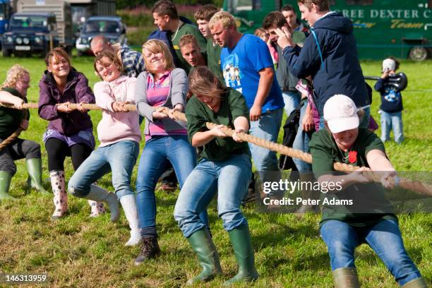 girls tug of war, north devon show, devon, england - tug of war stock pictures, royalty-free photos & images