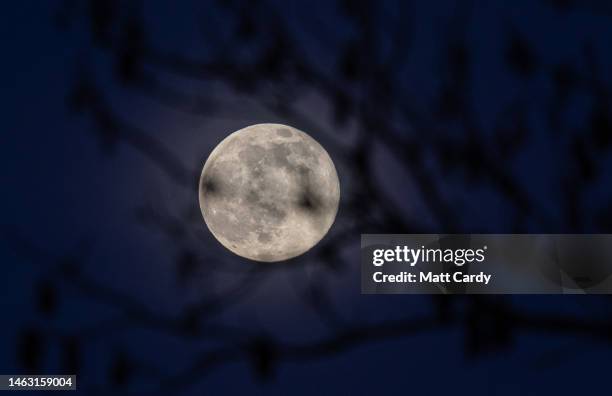 The full Snow Moon rises behind leafless trees on February 5, 2023 in Somerset, England. Tonight's full Snow Moon will be the smallest full moon of...