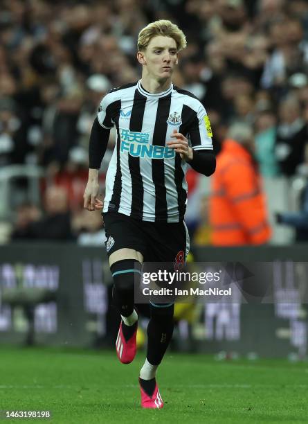 Anthony Gordon of Newcastle United is seen making his debu during the Premier League match between Newcastle United and West Ham United at St. James...