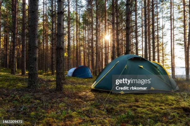 camping tents in a pine sunny forest - scenic landscape during adventures on the lakes - acampar fotografías e imágenes de stock