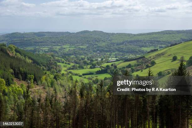 view of green landscape from moel famau country park - mold flintshire stock pictures, royalty-free photos & images