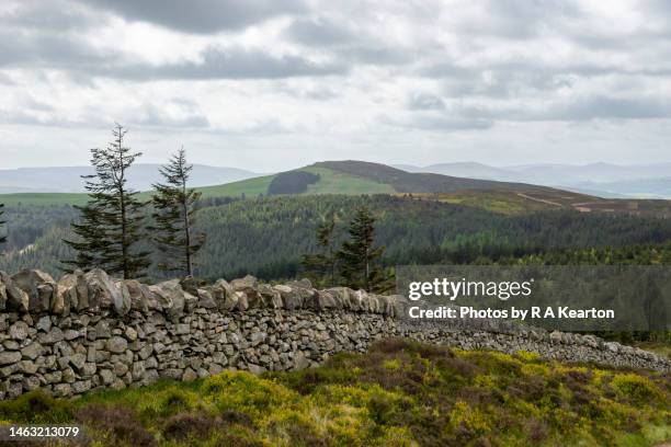 Barrier Ranges Barrier Ranges Photos and Premium High Res Pictures - Getty Images