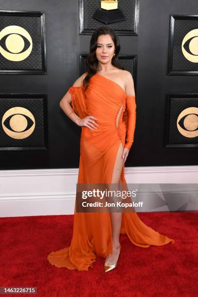 Tessa Brooks attends the 65th GRAMMY Awards on February 05, 2023 in Los Angeles, California.