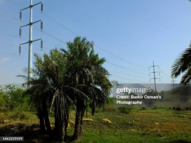 heavy high tension power supply wires - pylon icon stock pictures, royalty-free photos & images