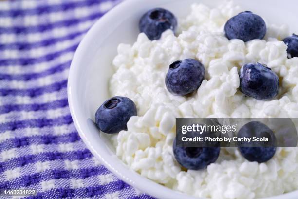 cottage cheese - hüttenkäse stock-fotos und bilder