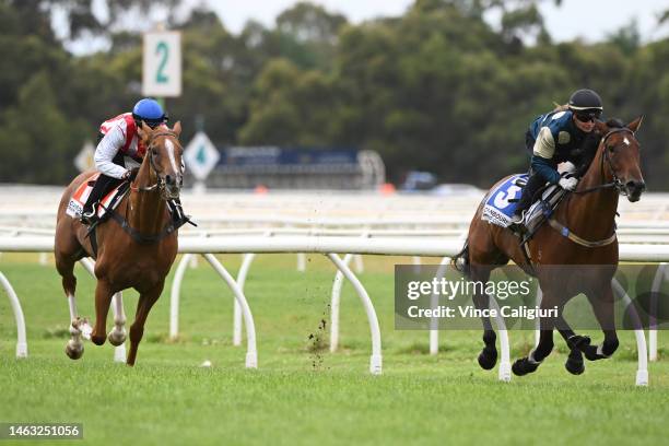 Jamie Kah riding Coolangatta defeating jcwGiga Kick during barrier trials at Cranbourne Racecourse on February 06, 2023 in Cranbourne, Australia.