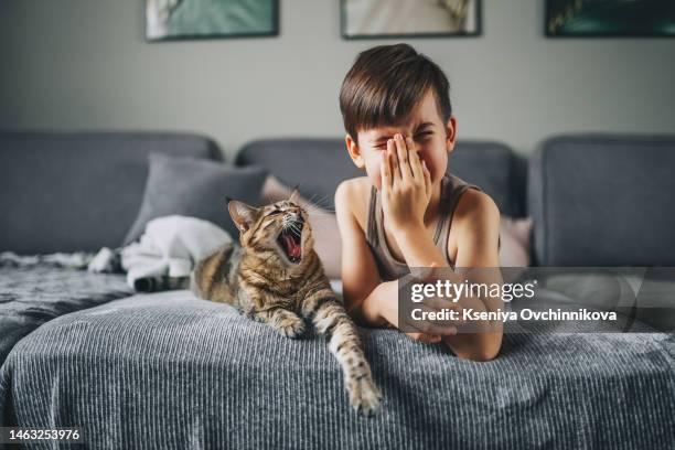 little kid boy with his cat pet on the couch. children and love pets concept. friendship with aimals - cat laughing stock pictures, royalty-free photos & images