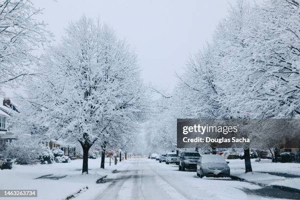 winter wonderland in the neighborhood - deep snow stock pictures, royalty-free photos & images