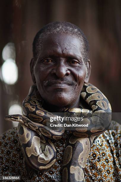 The Python Temple 62 Python Temple Stock Photos, High-Res Pictures, and Images - Getty Images