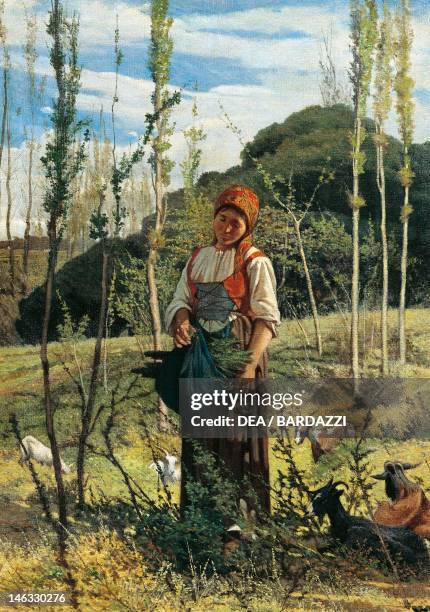 Farmer in the wood by Giovanni Fattori , oil on canvas, 78x57 cm.