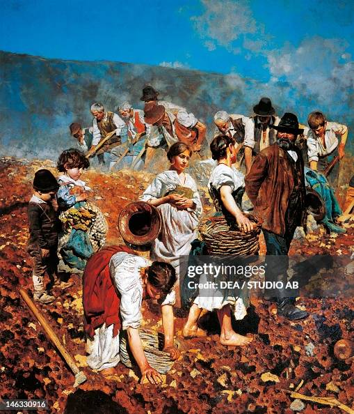 Verbania, Museo Del Paesaggio Palazzo Viani Dugnani At spade by... News