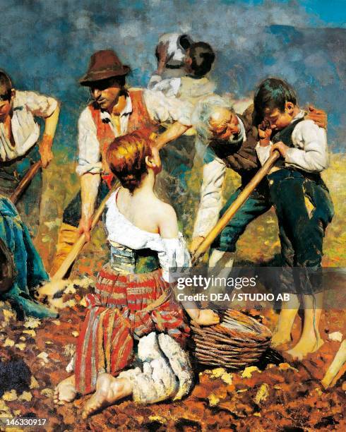 27 Palazzo Dugnani Stock Photos, HighRes Pictures, and Images Getty