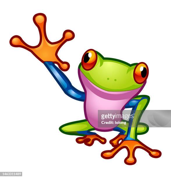bunte frog - frösche stock-grafiken, -clipart, -cartoons und -symbole