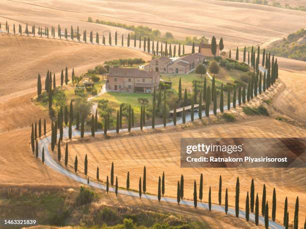 beautiful famous location landscape sunset curve of tree and agricultural farm field after harvest in tuscany, val d'orcia, firenze, italy ,landscape has been depicted in works of art from renaissance painting to modern photography. - pienza stockfoto's en -beelden