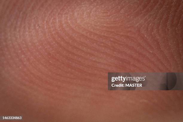 macro shot of human fingerprint - human skin microscope stock pictures, royalty-free photos & images