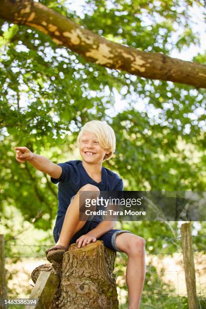 young boy in nature - child pointing stock pictures, royalty-free photos & images