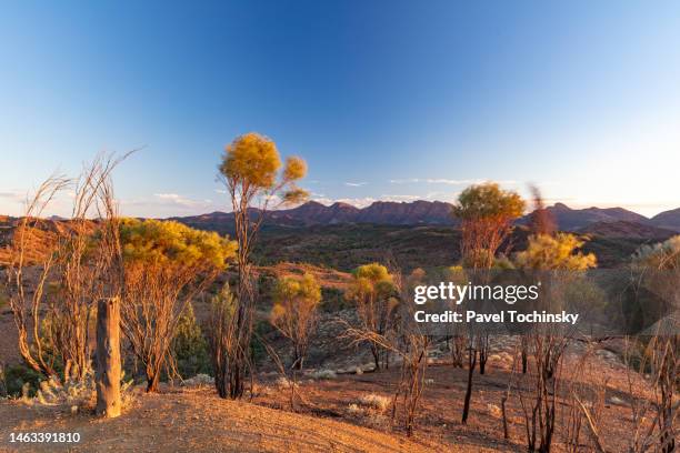 Razorback Flinders Ranges 27 Razorback Lookout Stock Photos, High-Res Pictures, and Images ...