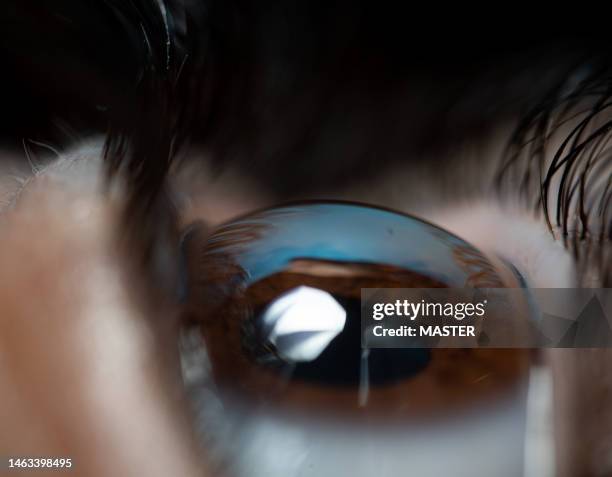 extreme close-up of human eye - iris mann stock-fotos und bilder