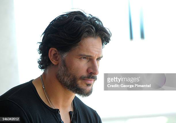 Actor Joe Manganiello poses for a portrait at the press junket for his new film "Magic Mike" at the Thompson Hotel on June 14, 2012 in Toronto,...