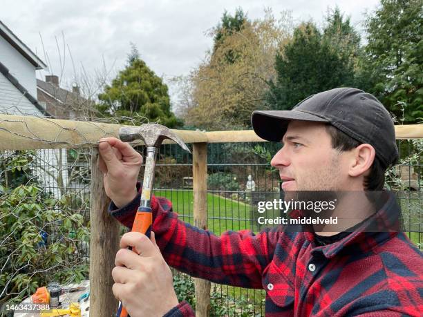 making a chicken coop - enclosure stock pictures, royalty-free photos & images