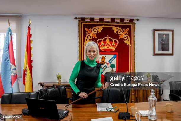 The PP candidate for mayor of Colmenarejo, Nieves Roses, during an extraordinary plenary session to debate the motion of censure in the City Council...