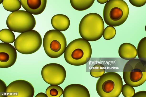 green avocado. creative abstract 3d background. - avocado oil stock-fotos und bilder