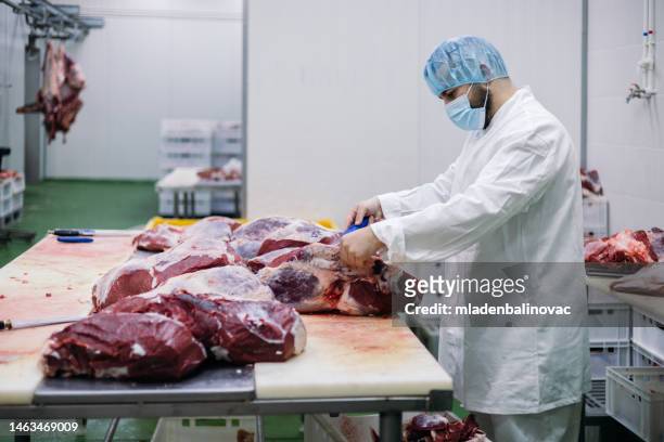 meat industry slaughterhouse and food processing - beef stock pictures, royalty-free photos & images