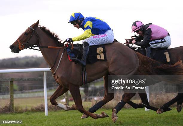 Poetic Music ridden by Paddy Brennan on their way to winning the British Stallion Studs EBF Mares' 'National Hunt' Novices' Hurdle at Carlisle...