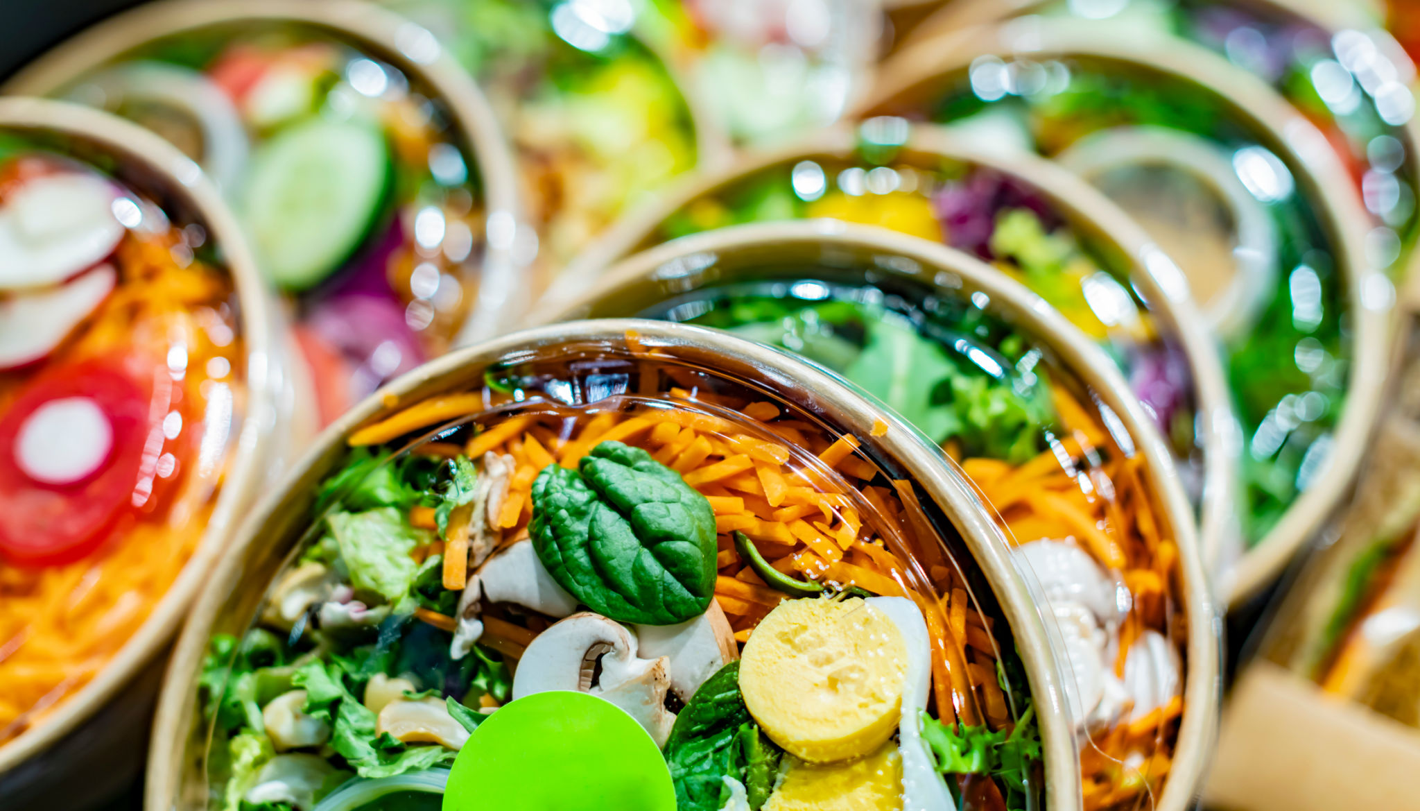 organic catering