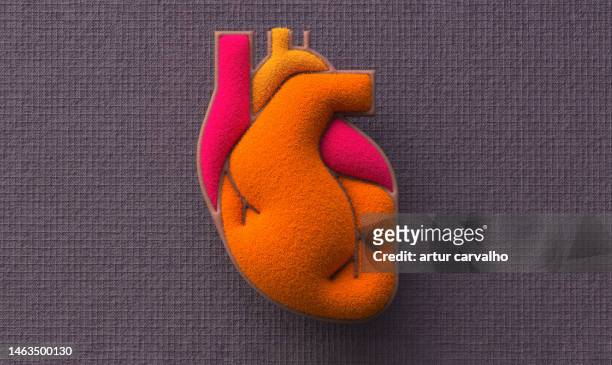 heart and coronary arteries - heart internal organ stock pictures, royalty-free photos & images