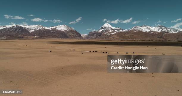 kailash sacred mountain in ngari prefecture, tibet, china. - mount kailash kora stock pictures, royalty-free photos & images