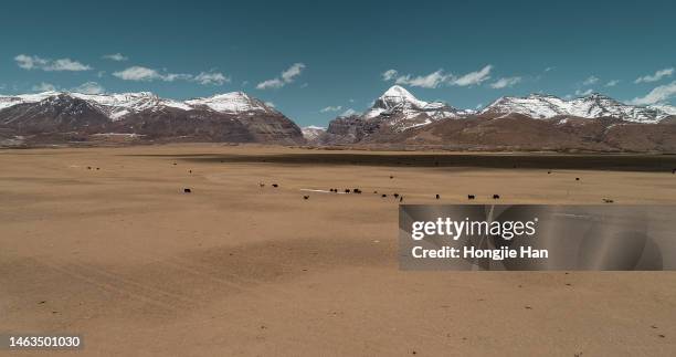 kailash sacred mountain in ngari prefecture, tibet, china. - 朝聖節 個照片及圖片檔