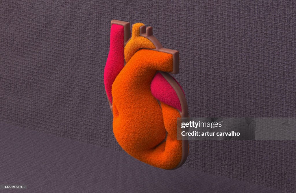 Heart and coronary arteries