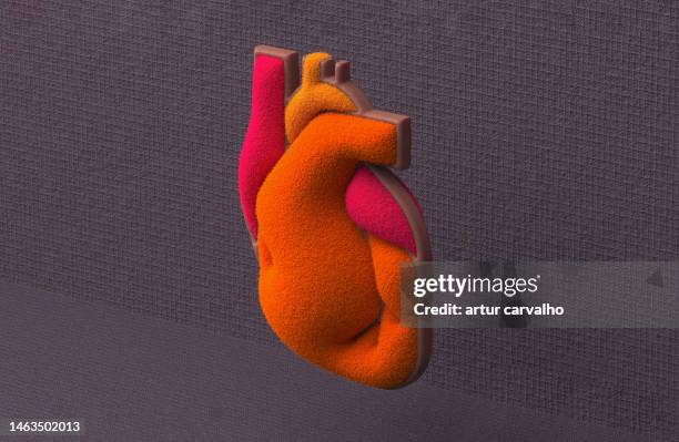 heart and coronary arteries - heart internal organ stock pictures, royalty-free photos & images